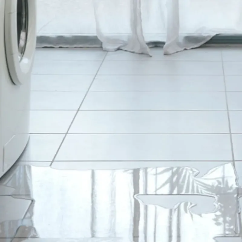 Appliance Leak Cleanup in Madison County, AL