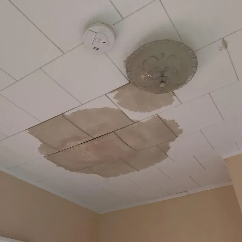 Ceiling Water Damage Repair in Madison County, AL